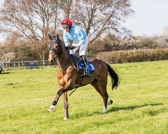 Race 5 - The Waverton Investment Management Ltd Restricted Race farmers and subscribers Race  (40 of 161)
