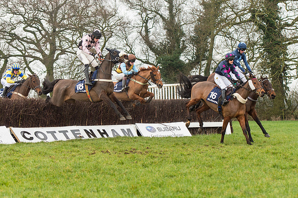 Race 5 - The Restricted Race (51 of 86).jpg