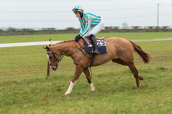 Race 6 - Open Maiden Race Div 1  (31 of 90).jpg