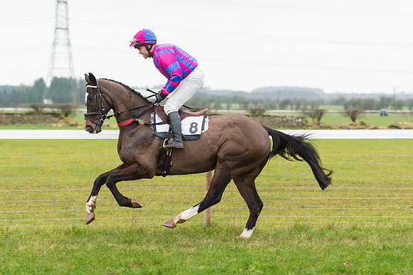 Race 6 - Open Maiden Race Div 2  (29 of 118).jpg