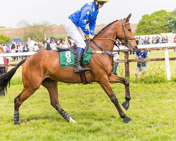 Race 2 - Owner-Trainer Conditions  (36 of 208)