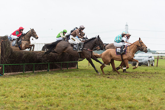 Race 6 - Open Maiden Race Div 1  (58 of 90).jpg