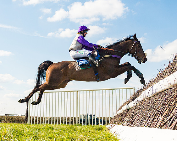Race 4 - The Warehouse Reit Mixed Open Race  (69 of 124)