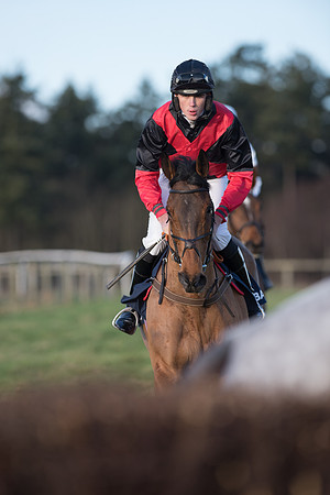 Race 5 - Restricted Race (30 of 107).jpg