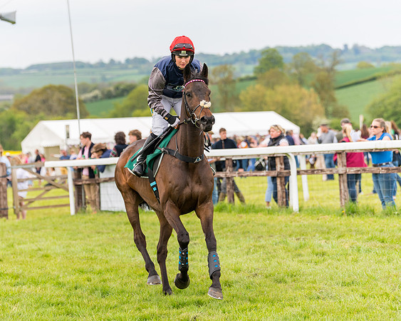 Race 7 - Veteran Horse conditions (86 of 244)