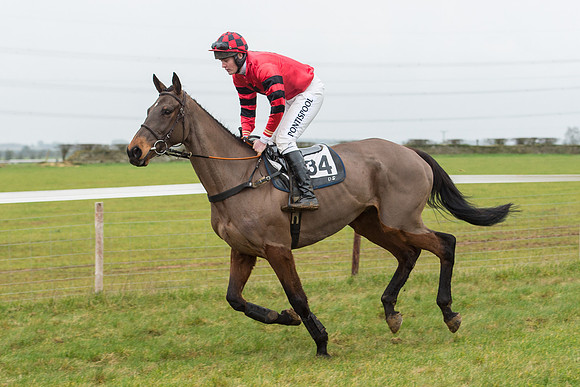 Race 6 - Open Maiden Race Div 1  (17 of 90).jpg