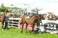 Race 2 - Open Maiden  13