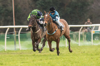 Pony Race 3 -  (2 of 20).jpg