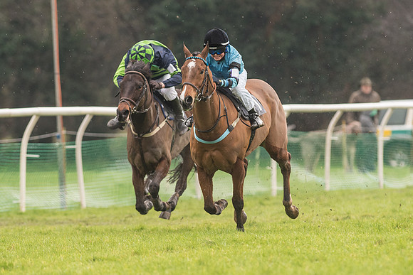 Pony Race 3 -  (2 of 20).jpg