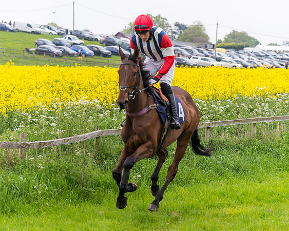 Race 6 - The Maiden [NWFAA] (23 of 143)