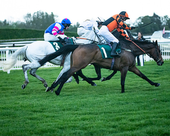Race 7 - Gloucester Hussars Open  (74 of 154)