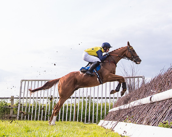 Race 6 - Open Maiden (138 of 346)