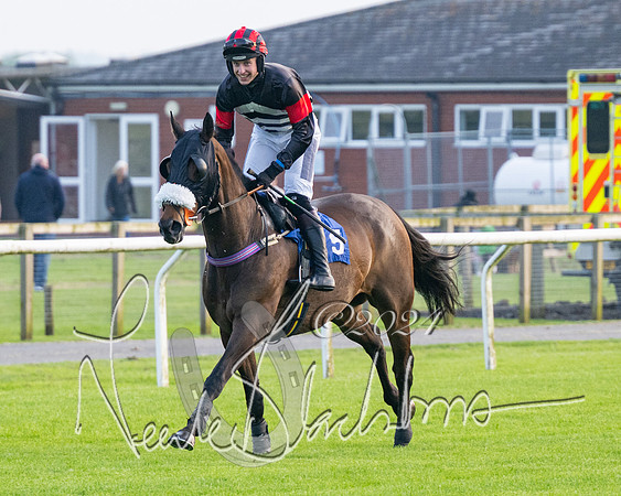 Race 5 - Peter Wright Handicap (23 of 117)