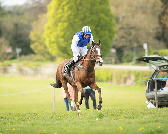 Race 5 - Open Maiden  (87 of 89)