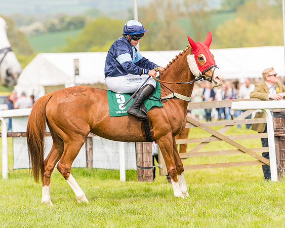 Race 2 - Owner-Trainer Conditions  (37 of 208)