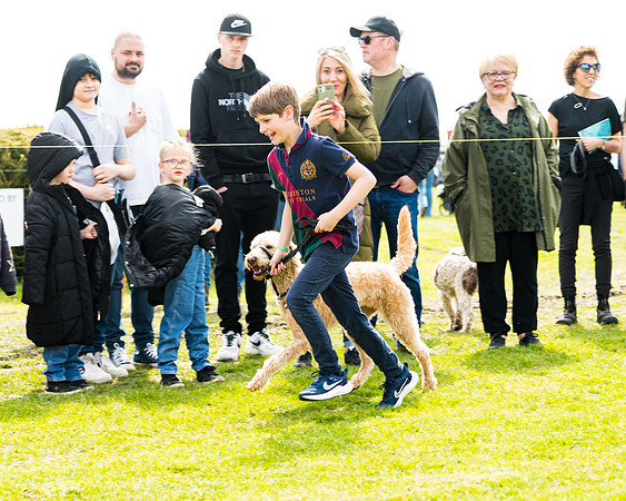 Dog show etc (52 of 157)
