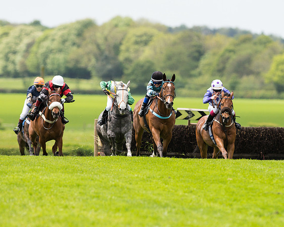 Race 2 - 148cm Pony Race (34 of 59).jpg