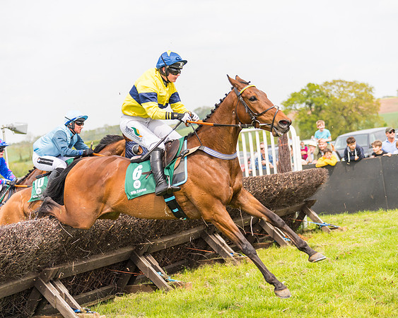 Race 2 - Owner-Trainer Conditions  (120 of 208)