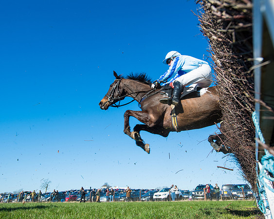 Race 4 - Ladies Open  (142 of 200)