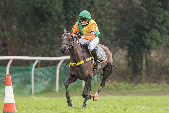 Pony Race 2 -  (8 of 17).jpg