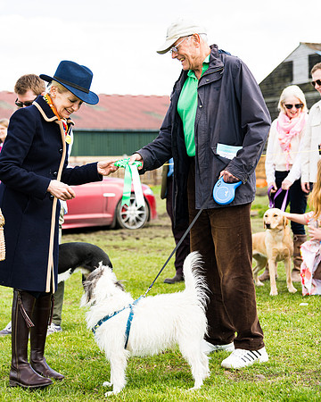 Dog show etc (135 of 157)