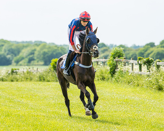Race 2 - PPORA Novice Riders (109 of 444)