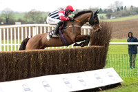 Race 1 - Young Horse Maiden (11 of 50).jpg