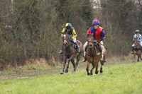 Pony Race 1 -  (12 of 20).jpg