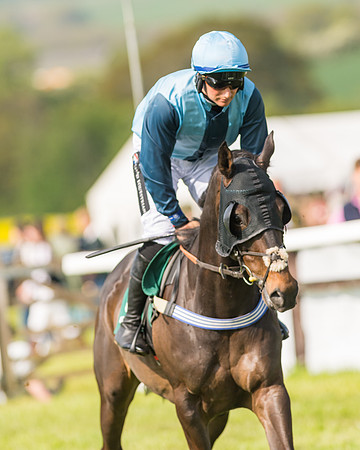 Race 5 - Restricted  (20 of 164)