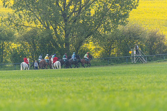 Race 5 - Restricted  (49 of 164)