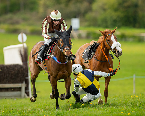 Race 5 - Open Maiden  (54 of 89)