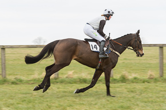 Race 2 - PPORA Novice riders  (47 of 186).jpg
