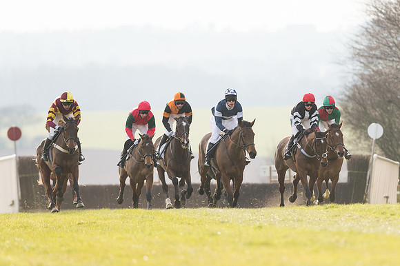 Race 5 - Restricted Race (32 of 98).jpg