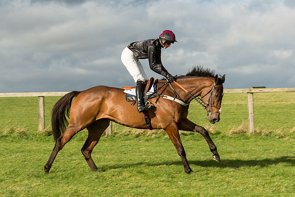 Race 2 - Young Horse Maiden (33 of 110).jpg