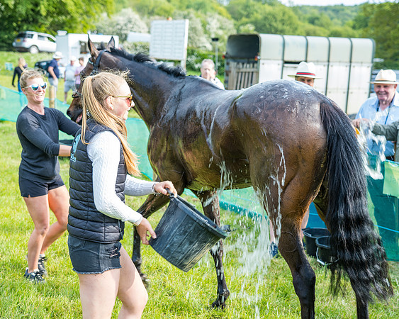 Race 6 - Open Maiden (296 of 346)