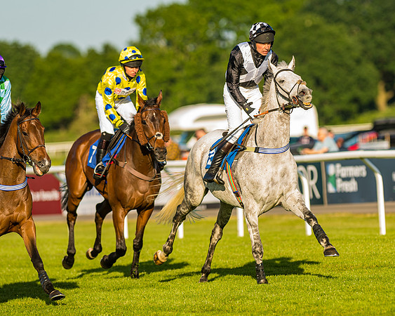 Race 4 - Foxhunters Championship (43 of 175)