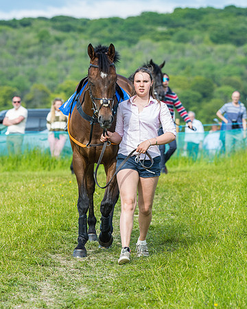 Race 5 - Restricted (60 of 335)