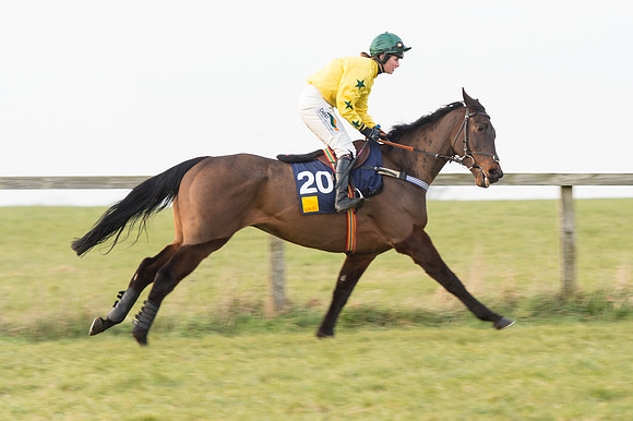 Race 6 Div 2 - Open Maiden  (46 of 131).jpg