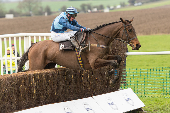 Race 1 - Young Horse Maiden (38 of 50).jpg