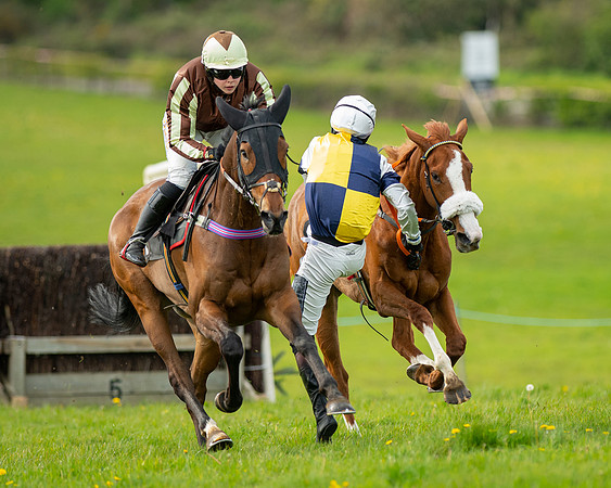 Race 5 - Open Maiden  (51 of 89)