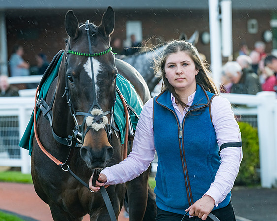 Race 5 - Mares Open  (25 of 329)