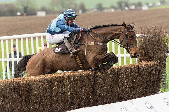 Race 1 - Young Horse Maiden (37 of 50).jpg