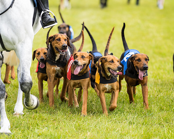 Draghounds Race (44 of 212)