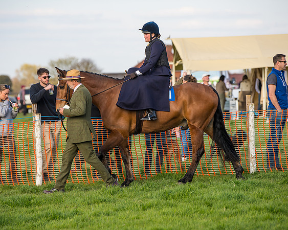 Side Saddle dash  (44 of 170)