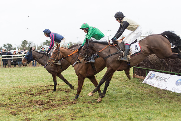 Race 6 - Open Maiden Race Div 2  (60 of 118).jpg