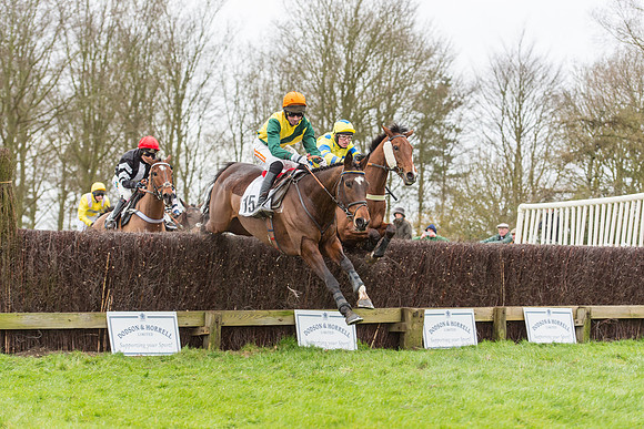 Race 7 - Open Maiden (75 of 131).jpg