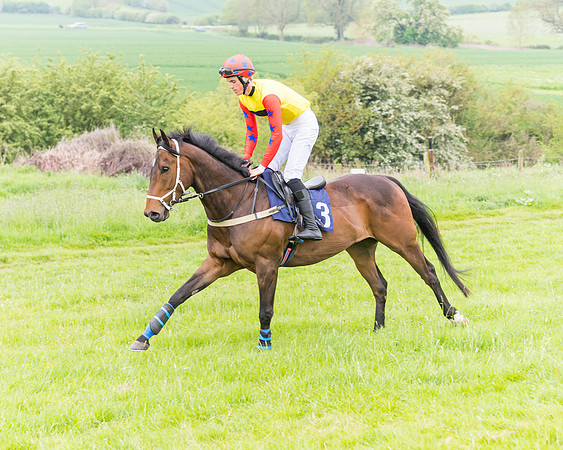 Race 6 - Maiden (24 of 129)