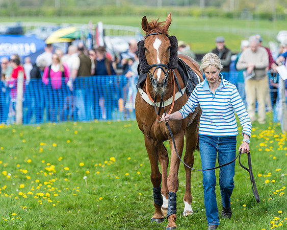 Race 2 - Veteran Horse  (6 of 82)
