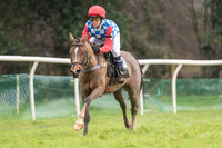 Pony Race 2 -  (16 of 17).jpg
