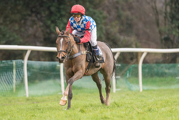 Pony Race 2 -  (16 of 17).jpg